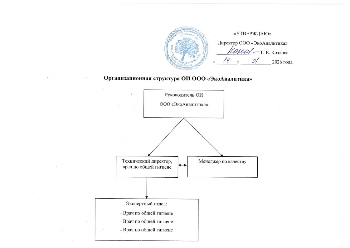 Скачать файл